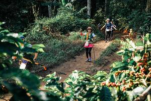 BIB: 
                            <button type="button" onclick="openModal(25847271)" class="btn btn-primary btn-sm float-right btn-popup" data-toggle="modal" data-target=".modal-high-quality">
                        <i class="fas fa-shopping-cart"></i> Add to Cart
                    </button>
                                            <button type="button" onclick="isThisMe(25847271, true)" class="btn btn-success btn-sm float-right btn-popup btn-isme hidden" data-toggle="tooltip" data-placement="bottom" title="นี่คือรูปของคุณใช่ไหม คลิกที่นี่เพื่อเอาเข้าอัลบั้ม">
                        <i class="fas fa-plus"></i> Add to album
                    </button>
                    <button type="button" onclick="isThisMe(25847271, false)" class="btn btn-warning btn-sm float-right btn-popup btn-isnotme hidden">
                        <i class="fas fa-ban"></i> Remove from album
                    </button>